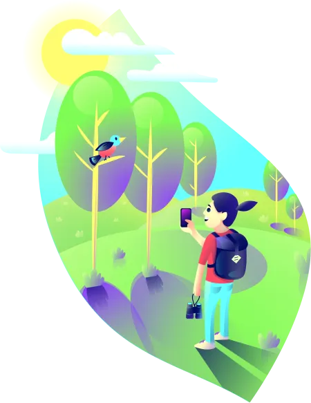 Bird Watching