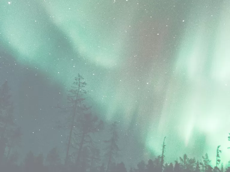 Aurora in the night sky.