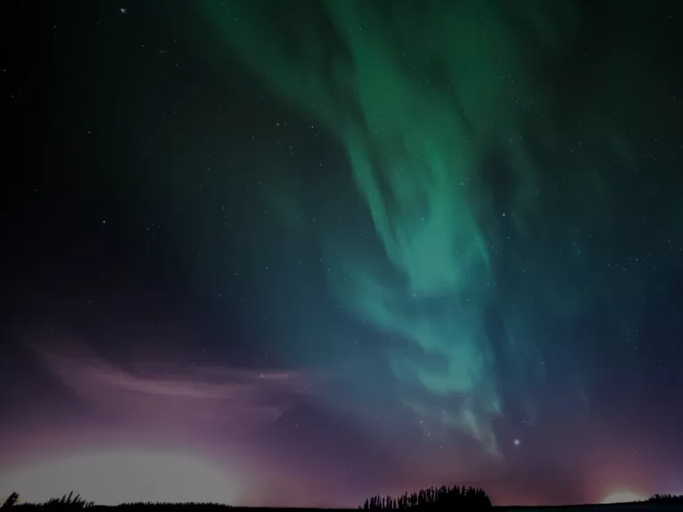 Green aurora lights flowing across a dark night sky with stars visible and a faint purple glow near the horizon above silhouetted trees.