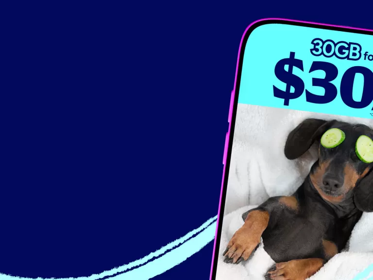 A cute dachshund enjoys a spa day with cucumber slices over its eyes while a phone screen displays a 30GB for $30/month wireless offer. Conditions apply.