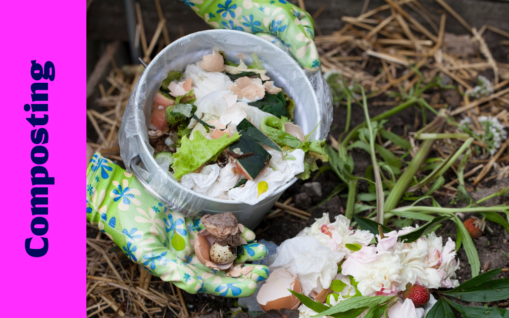 Composting 101: How to Get Started